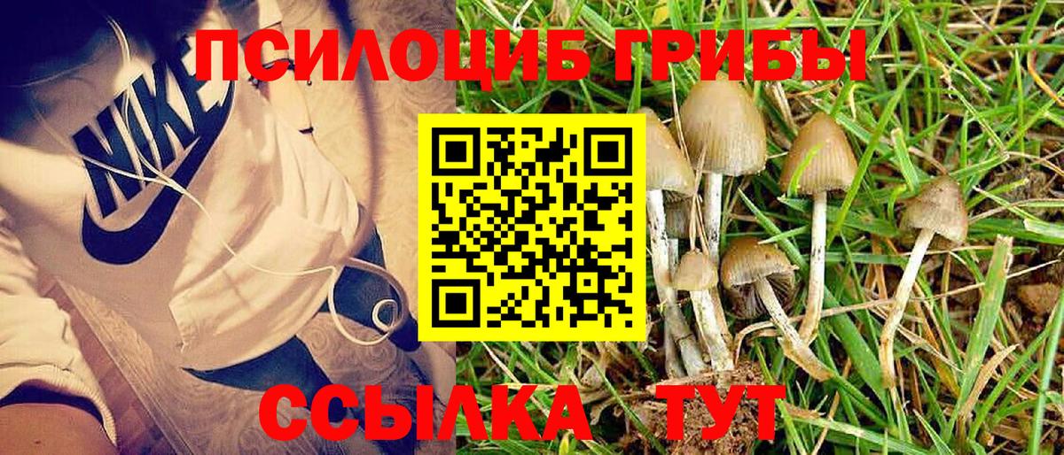 Галлюциногенные грибы мухоморы  Вход с VPN  Южно-Сахалинск 